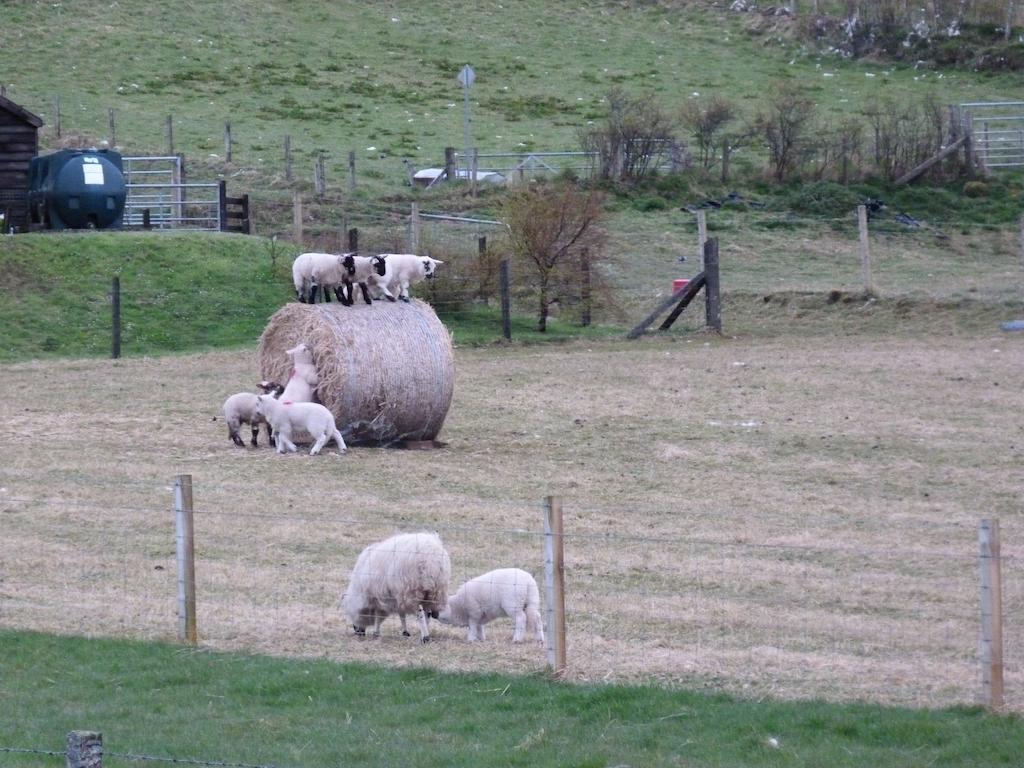 Gairloch View Bed & Breakfast Digg Zimmer foto